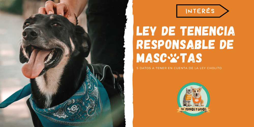 Ley de Tenencia Responsable de Mascotas y Animales de Compañía (Ley Cholito)